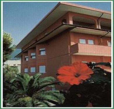 Le Palme Le Palme