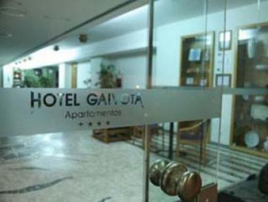 Gaivota Gaivota