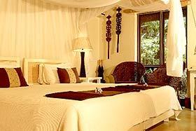 Lion Sands River Lodge Lion Sands River Lodge