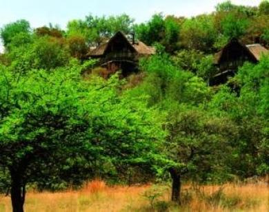 Tshukudu Bush Lodge Tshukudu Bush Lodge