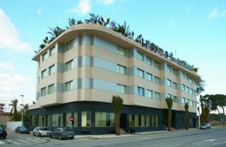 Areca Areca