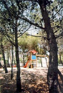 Roca Roca