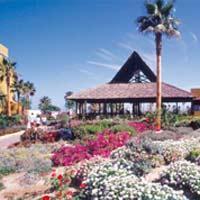 Playaballena Hotel Playaballena Hotel
