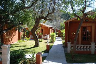 Soller Garden Soller Garden