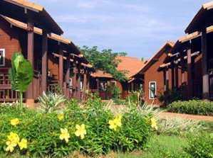 Golden Pine Resort Golden Pine Resort