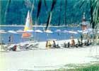 Patong Swiss Patong Swiss