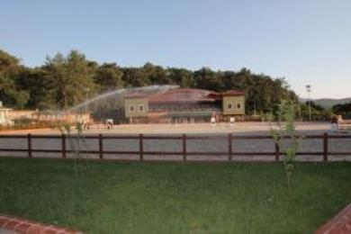 Padok Premium Hotel & Stables Padok Premium Hotel & Stables